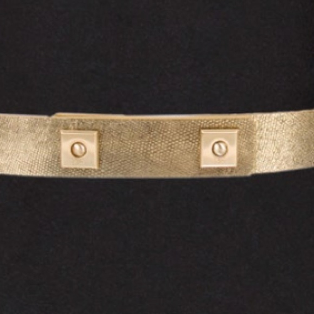 SOLD 🛍 DIANE VON FURSTENBERG Embossed Waist Belt - Picture 3 of 7